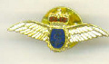 Lapel pin - Fleet Air Arm