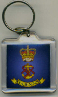 QARNNS - Key Ring