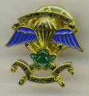 Lapel Pin - Special Boat Service SBS